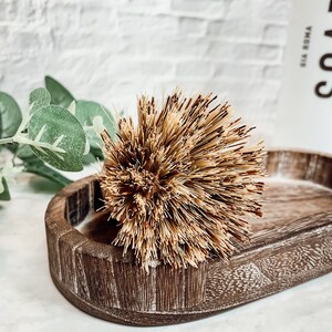 May include: A natural bristle brush with a brown wooden handle sits in a wooden dish. The brush is made of natural fibres and is perfect for cleaning dishes or other surfaces.