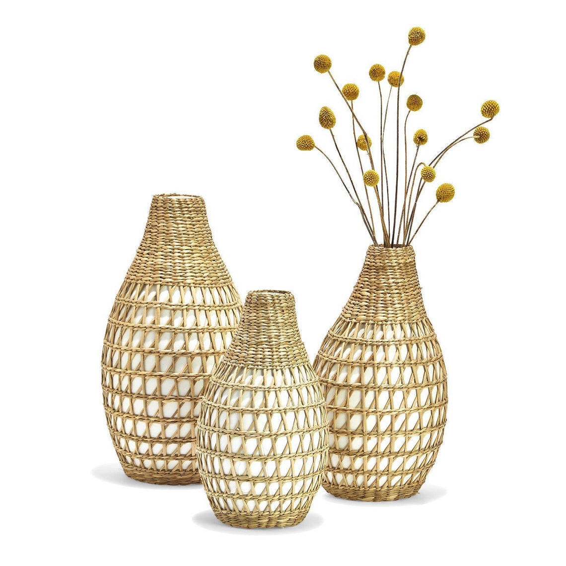 Seagrass Weave Set of 3 Vases main image 1