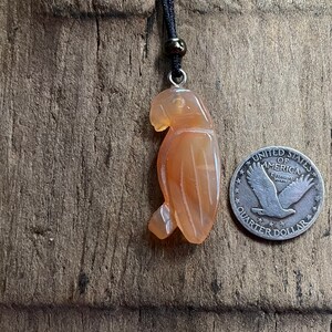 Orange Agate Parrot