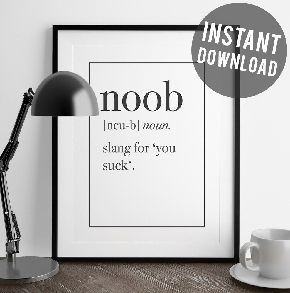 NOOB Definition Funny Art Print funny print art art print ...