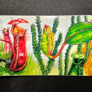 Pitcher plant nepenthes sticker, full color plant painting sticker, high quality