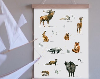 Forest Animals Poster | Learning Poster | Art Print Watercolor Painting | A3 Print