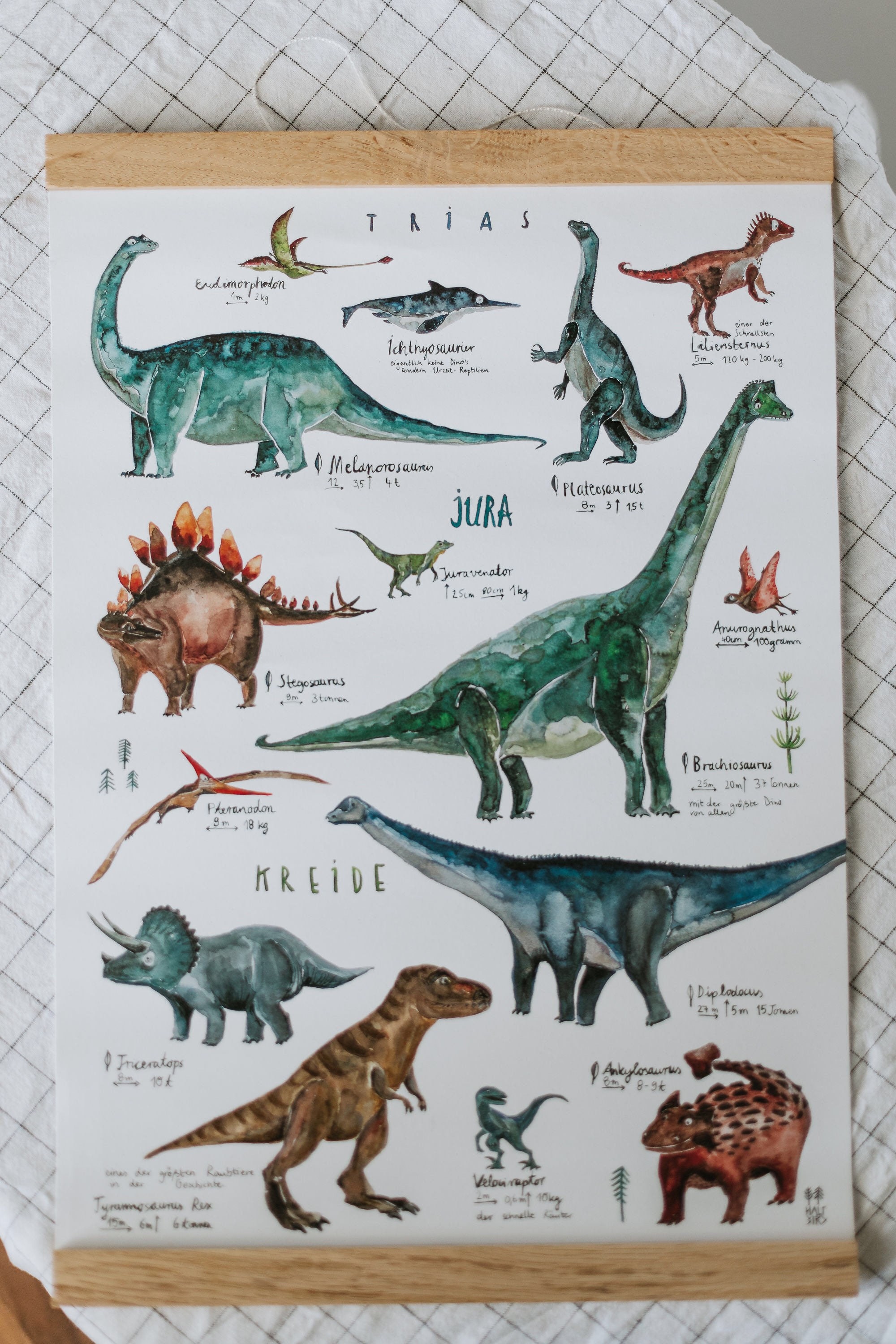 Poster Di Dinosauro In Bianco E Nero Confezionamento. Fogli Di Dinosauri  Per Bambini. Senza Cornice A3