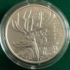 Deer , Fauna monuments of culture,  in Box . Great gift , silver Weight: 1/2 OZ Commemorative coin  of Ukraine , animal