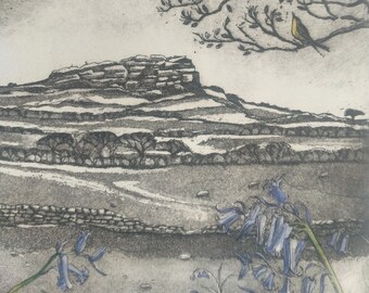 Original etching by Moira McTague. 'Spring came and the chiffchaff sang, Almscliffe Crag'
