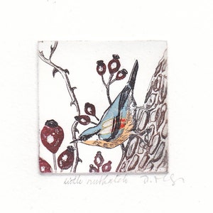 May include: A blue and brown bird, a nuthatch, perched on a branch with red berries. The bird is looking to the right. The image is a print titled "little nuthatch" with the artist's initials "D.F.S."