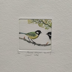 May include: A framed artwork depicting two birds on a branch. One bird has a green back and yellow chest, the other is black and white. The artwork includes the text "Parus Major" and "Great tite".