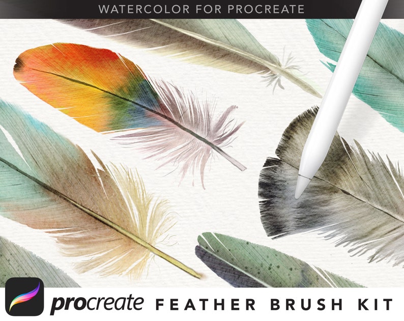 Watercolor Feather Brush Kit for Procreate Etsy