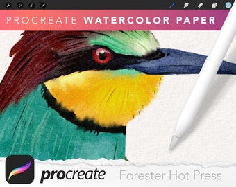 Forester Hot Press Watercolor Paper Texture for Procreate