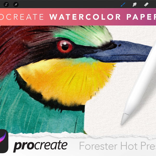 Forester Hot Press Watercolor Paper Texture for Procreate