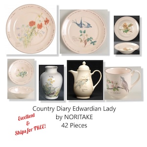 Może przedstawiać: 42-częściowy zestaw porcelany finezyjnej Country Diary Edwardian Lady firmy Noritake. Zestaw charakteryzuje delikatny wzór kwiatowy i ptaszków w odcieniach różowego, niebieskiego i zielonego. Zestaw zawiera talerze, miski, czajnik, wazon i kubek.