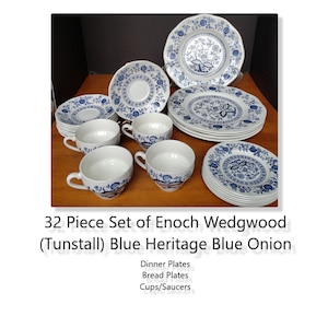 Blue onion dinner plate set - Etsy 日本