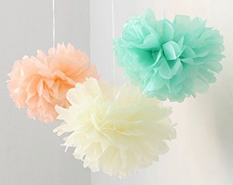 12pcs Mixed Peach Ivory Mint DIY Tissue Paper Flower Pom Poms Wedding Birthday Nursery Hanging Decoration 12pcs Mixed Peach Ivory Mint DIY Tissue Paper Flower Pom Poms Wedding Birthday Nursery Hanging Decoration