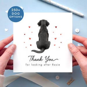 May include: A square white greeting card featuring a black Labrador dog illustration viewed from behind, surrounded by small red hearts. The text reads Thank You in a cursive script followed by the printed text for looking after Rosie.