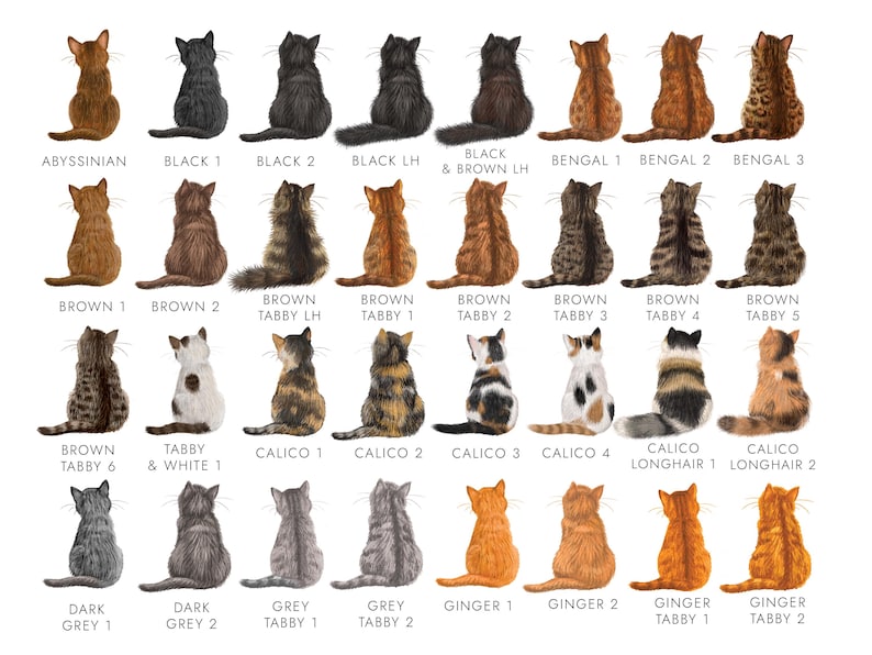 Personalised Cats Birthday Card | For Girlfriend, Boyfriend, Husband, Wife, Fiancé, Fiancée, Partner, Him, Her | 65+ Designs afbeelding 3