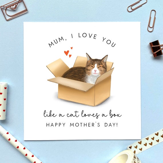 Mamma, ti amo come un gatto ama una scatola Biglietto per la festa della  mamma con gatto soriano / Per mamma, mamma, mamma, carino, festa della  mamma / Marrone Grigio Argento -  Italia