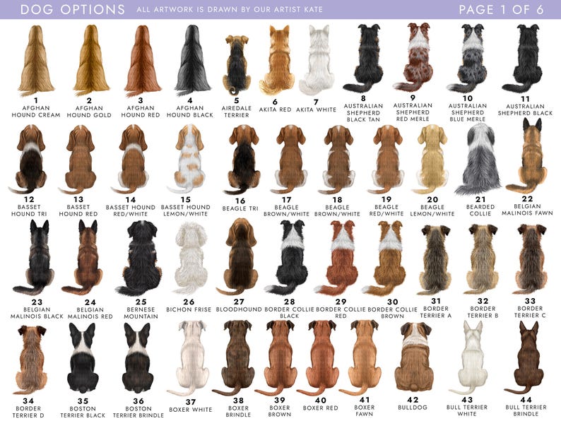 May include: A print featuring various dog breeds, each illustrated from the rear view. Breeds include Afghan Hounds, Beagles, Border Collies, and more. The text "DOG OPTIONS" and "ALL ARTWORK IS DRAWN BY OUR ARTIST KATE" are visible.