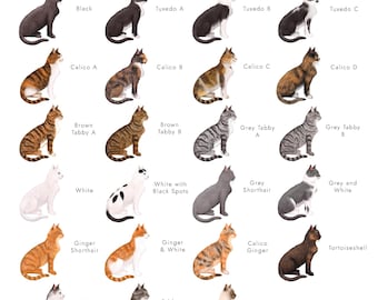 How Many Different Cats are There: Discover Every Unique Breed Today