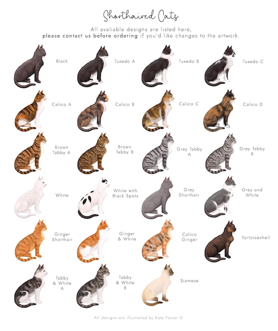 How Many Types of Cats are There: Discover All Unique Breeds Today