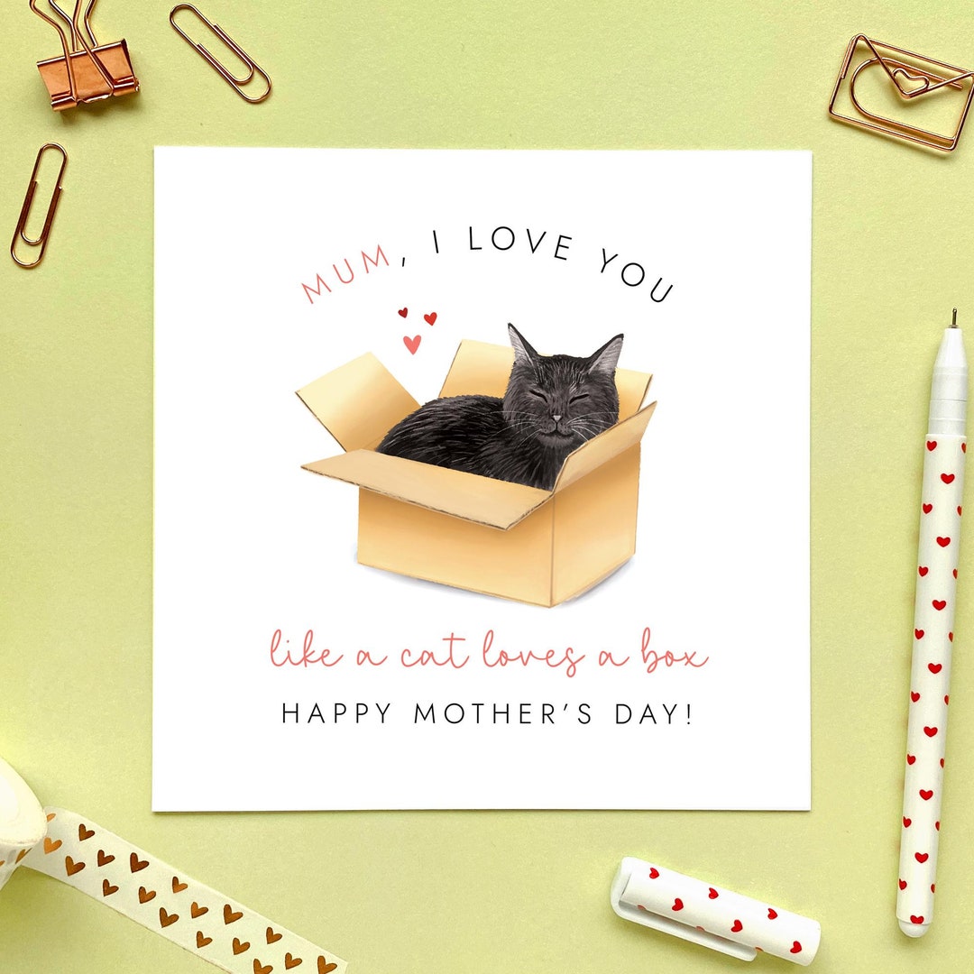 Mum I Love You Like a Cat Loves A Box Mother's Day Card - Black Cat ...