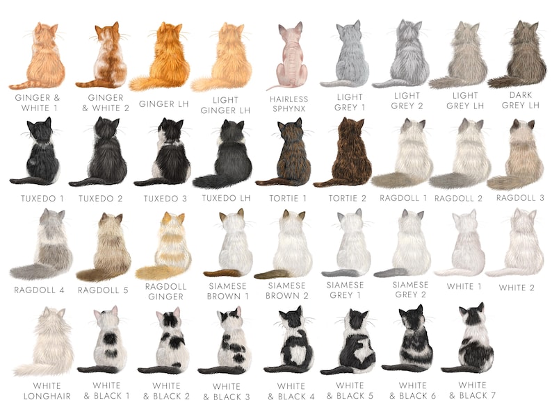 Personalised Cats Birthday Card | For Girlfriend, Boyfriend, Husband, Wife, Fiancé, Fiancée, Partner, Him, Her | 65+ Designs afbeelding 4