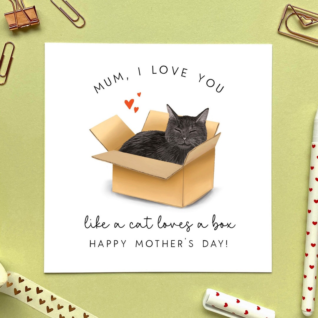 Personalised Choose the Cat in a Box Mother's Day Card for Mom, Mam ...