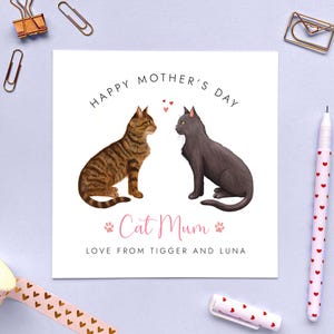 Personalised Choose the Two Cats Mother's Day Card | From the Cats, For Cat Mum, Wife, Girlfriend, 2 Kittens, Tabby Ragdoll Black Ginger