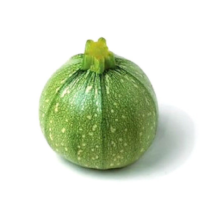 Organic Zucchini Seeds Light Green Round Zucchini Heirloom Etsy Australia