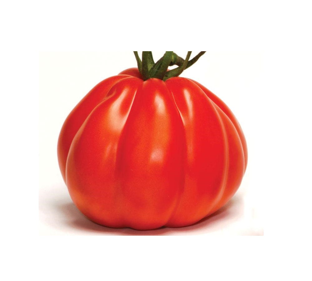 tutti i non-OGM semi cimelio vegetali! 30 CARBON semi di pomodoro 2018 tutti i non-OGM semi cimelio vegetali! 30 CARBON semi di pomodoro 2018