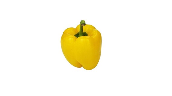 Seeds Pepper Bulgarian Red Sweet Giant Vegetable Organic Heirloom NON-GMO