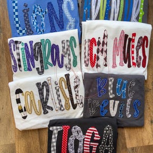 New custom  spirit tees- unisex Comfort colors- mascot- fabrics will vary according to team colors