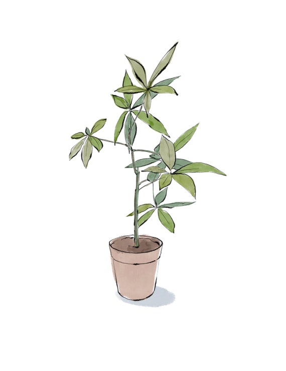 Money Tree Digital Downloadable Print Money Tree Plant Print In Watercolor And Ink Downloadable Jpeg - 
