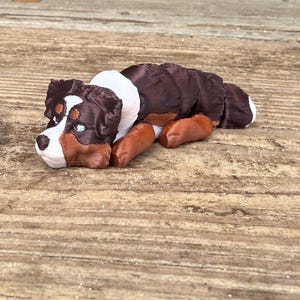 May include: A 3D-printed Bernese Mountain Dog figurine in a resting pose. The dog features a tricolor design with a brown body, white chest and face markings, and brown and white legs. The figurine is lying on a wooden surface.
