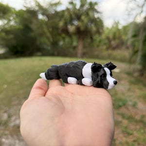 May include: A black and white border collie figurine lying on its side. The figurine is made of a smooth, textured material and has a realistic appearance.