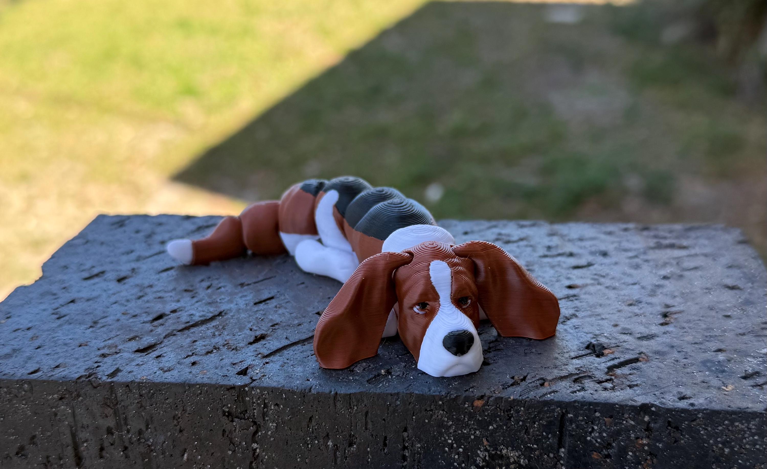 Basset Hound Flexi / 3D print / desk pets / desk buddy / fidget / articulated figure