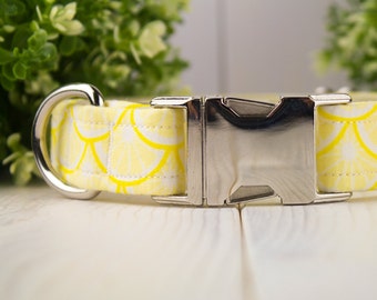 Lemonade  adjustable Dog Collar with Metal Buckle