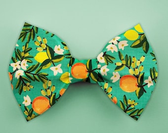 Citrus Floral Dog Bow Tie // Pet Bow Tie// Rifle Paper Co Pet Bow Tie