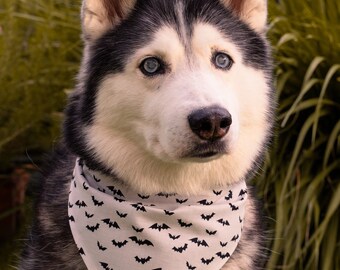 Bat to the Bone Dog Bandana | Bats Pet Bandana | Halloween Pet Bandana