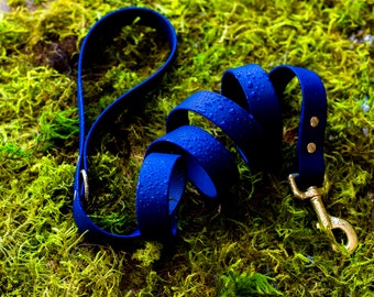 Waterproof Dog Leash// Rugged Dog Leash // Biothane Dog Leash// Life-proof Leash