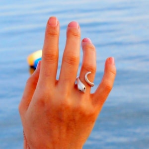 May include: A silver-toned open ring featuring a stylised snake design. The ring has a smooth, polished finish with a tapered body that wraps around the finger, ending in a curved tail and a head with small, dark, recessed eye details.