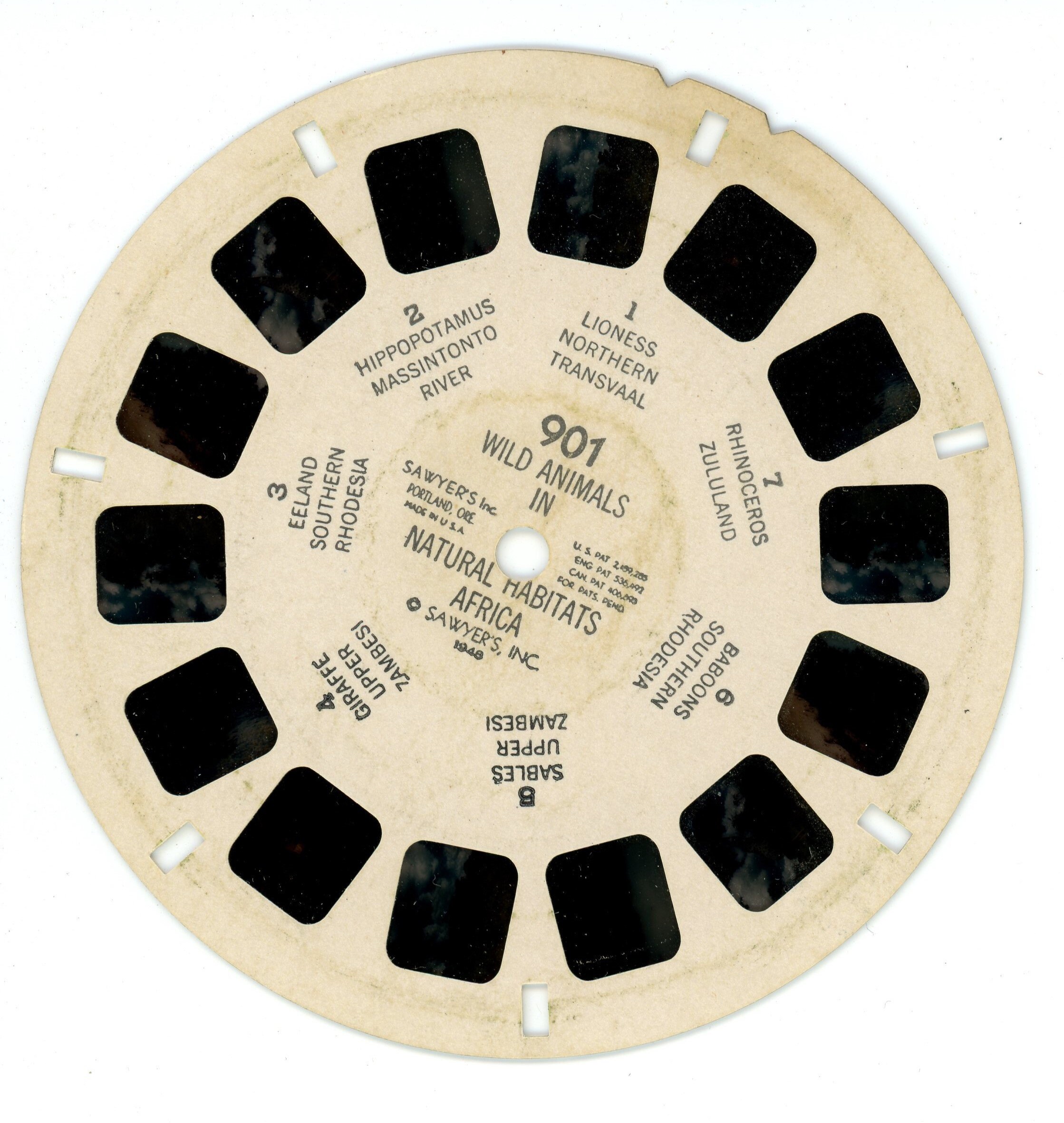 THE ANIMAL WORLD VIEWMASTER REELS