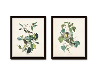 Audubon Birds Print Set No. 6, Botanical Prints, Audubon Bird Prints, Vintage Bird Prints, Magnolia Print, Chinoiserie Art