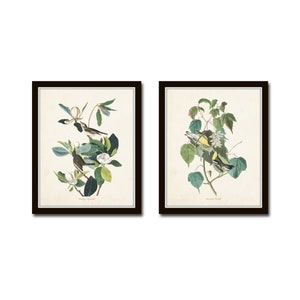 Audubon Birds Print Set No. 6, Botanical Prints, Audubon Bird Prints, Vintage Bird Prints, Magnolia Print, Chinoiserie Art