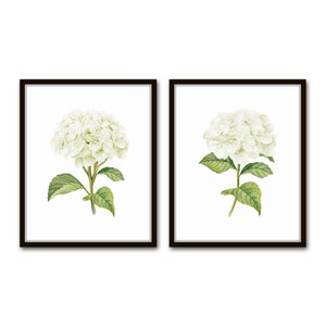 White Watercolor Hydrangea Print Set No. 2, Giclee, Botanical Print Set, Hydrangea Print, Watercolor Botanical Prints, White Flower Prints