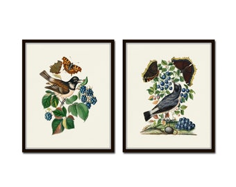 Vintage Bird and Butterfly Print Set No. 5, Botanical Prints, Butterfly Prints, Botanical Prints, Vintage Bird Prints, Chinoiserie Art