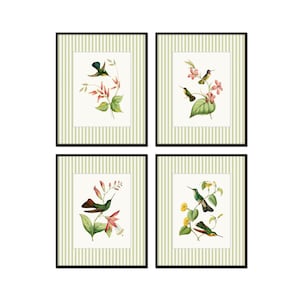 May include: Set of four framed prints featuring watercolour illustrations of hummingbirds perched on flowering branches. Each print has a white background with green and pink floral details.