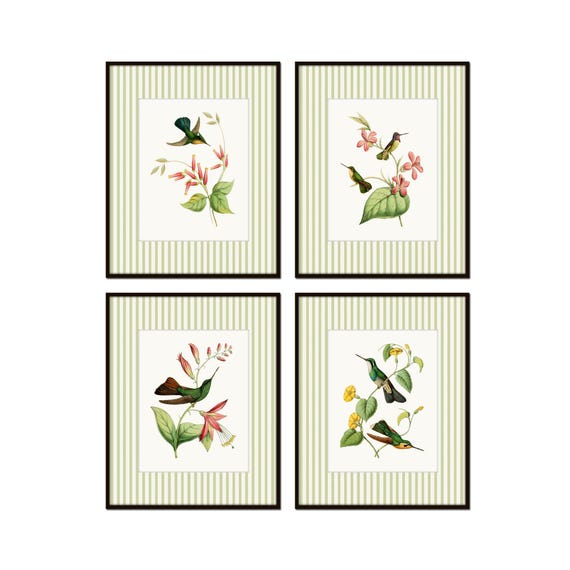 Vintage Hummingbird Prints with Green Striped Border, Vintage Bird Art, Botanical Prints, Striped Floral Art, Grandmillennial Wall Art