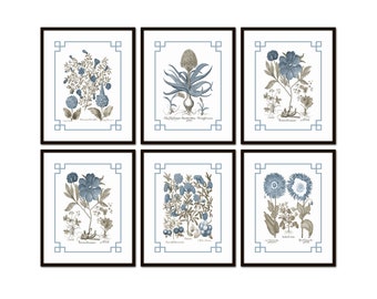 Chinoiserie Blue and Sepia Vintage Botanical Print Set No. 1, Flower Prints, Botanical Art, Botanical Prints, Wall Art, Home Decor