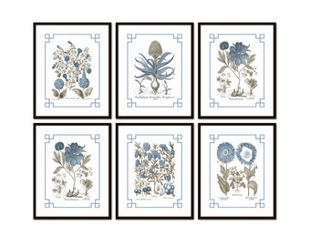 May include: Set of six botanical prints featuring blue and brown illustrations of various flowers. Each print is framed with a black frame and a light blue border.