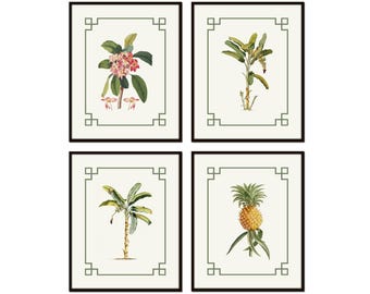 Chinoiserie Tropical Botanical Print Set, Coast Home Decor, Coastal Art, Chinoiserie Art, Wall Art, Vintage Botanical Art, Palm Beach Decor
